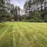 Healthy green lawn with sharp edging and professional mowing finish