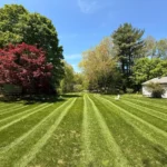 Premium lawn care service featuring clean mowing stripes and detailed edging