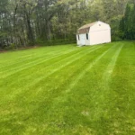 Professional grass cutting service with smooth finish on residential lawn