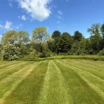 Well-maintained residential lawn with professional mowing and striping
