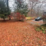 Autumn yard leaf removal service clearing seasonal debris from property