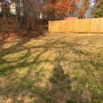 Backyard leaf cleanup service preparing lawn for winter season