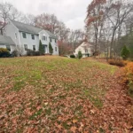 Complete fall yard cleanup project restoring lawn and landscape beds