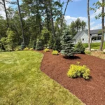 Landscape bed renovation with fresh mulch and improved plant layout