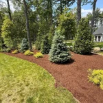 Shrub planting and mulch landscaping service on residential property