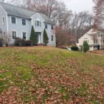 Clean lawn after fall leaf removal service on residential property