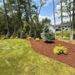 Professional landscape bed installation with new mulch and plants
