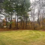 Seasonal lawn maintenance cleanup removing leaves and yard debris