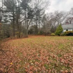 Yard covered with fallen leaves before professional seasonal cleanup